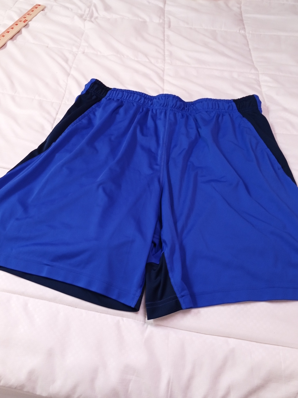 Nike Royal Blue Athletic Shorts with Black Liner